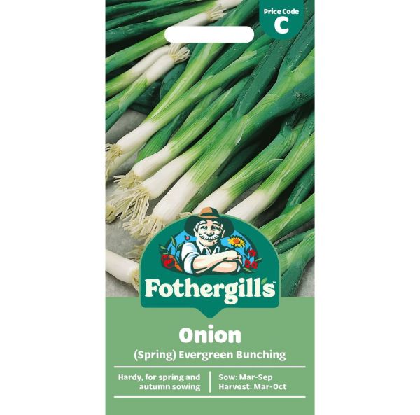 Kevätsipuli, salaattisipuli